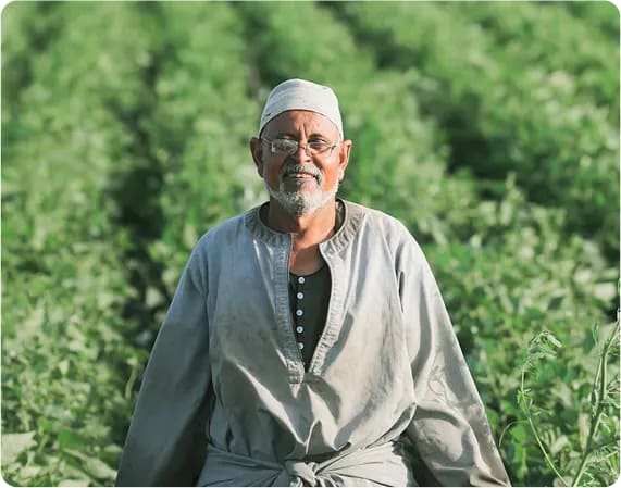 رواتب بسيطة وخالية من التوتر - حتى أثناء الحصاد.